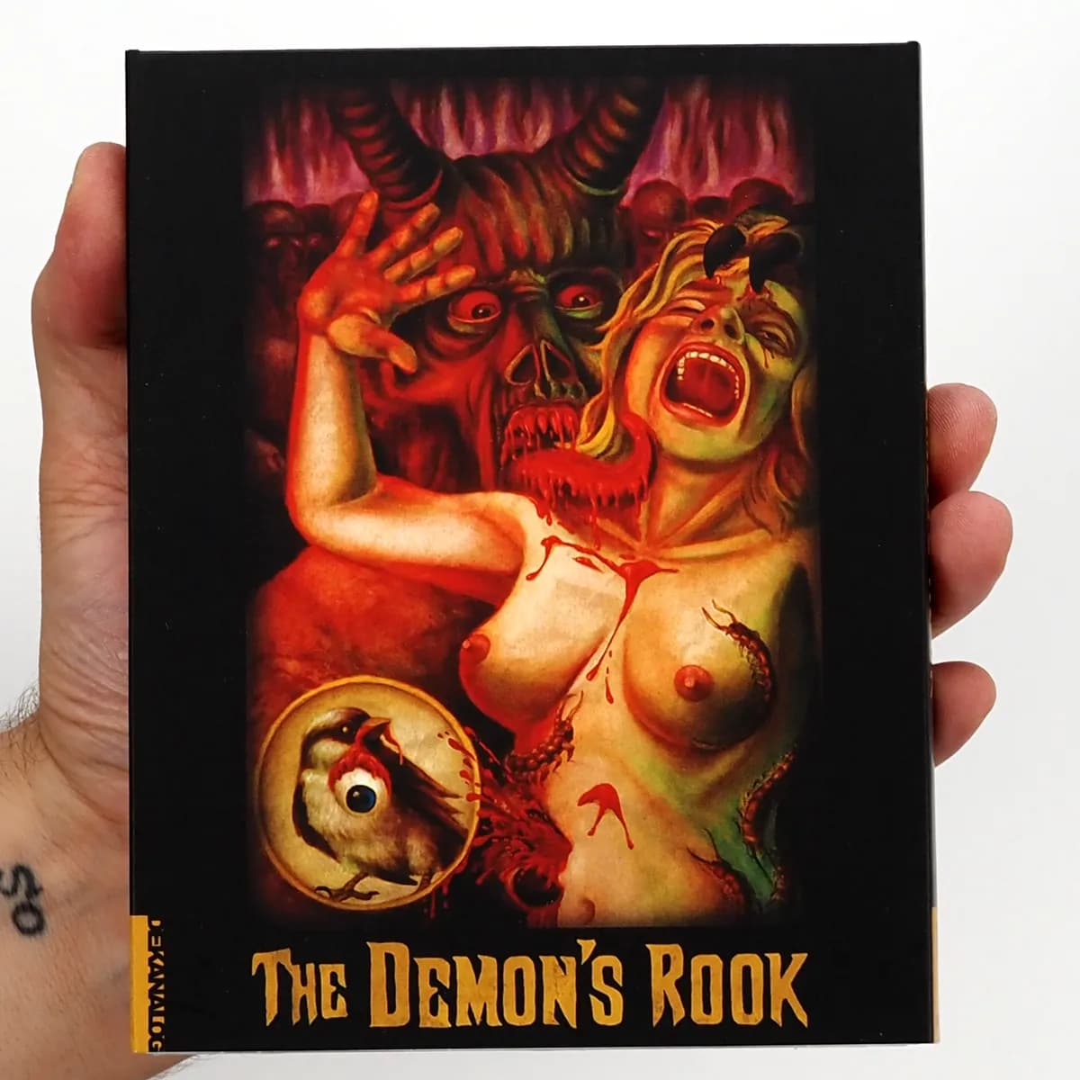 The Demon's Rook cover