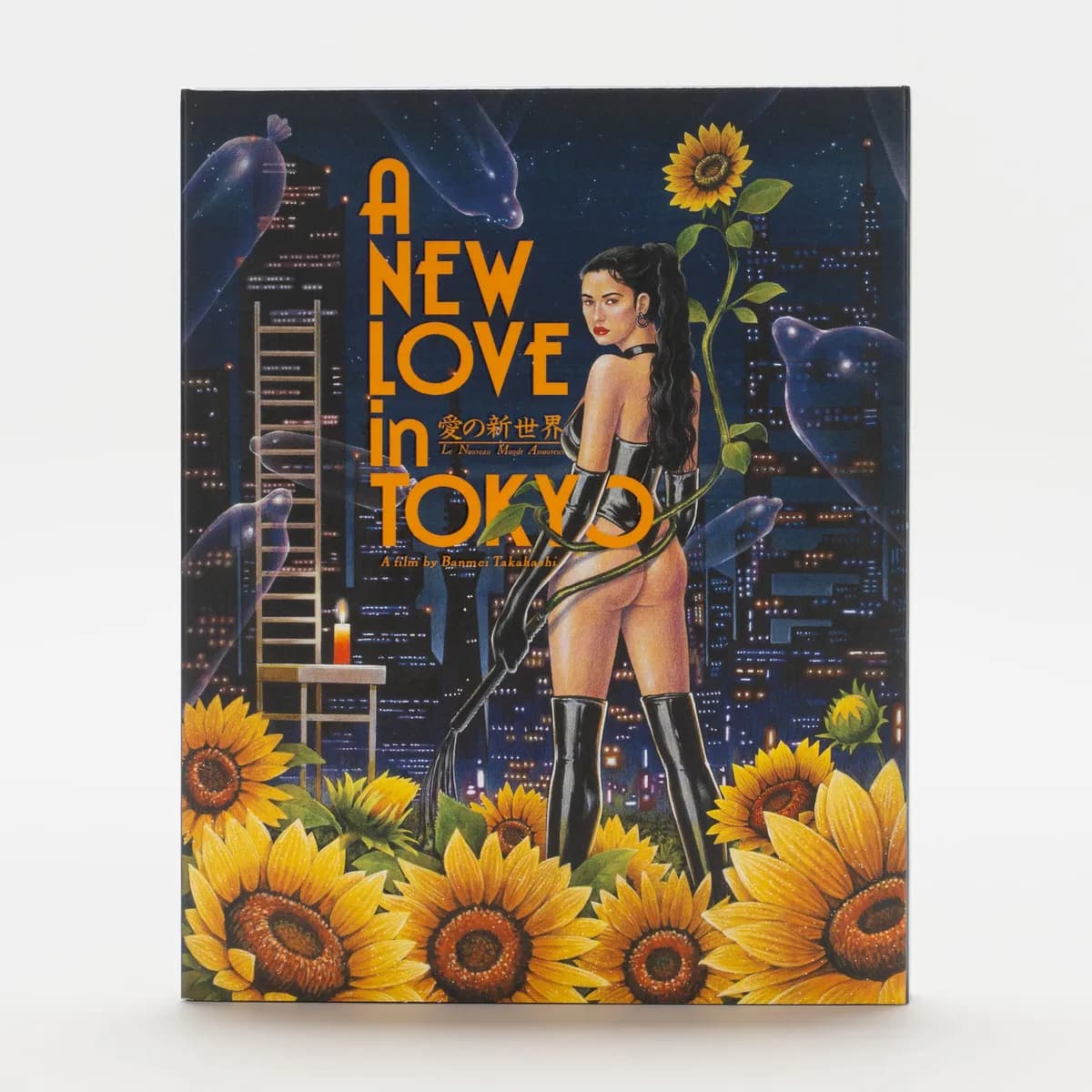 A New Love in Tokyo cover