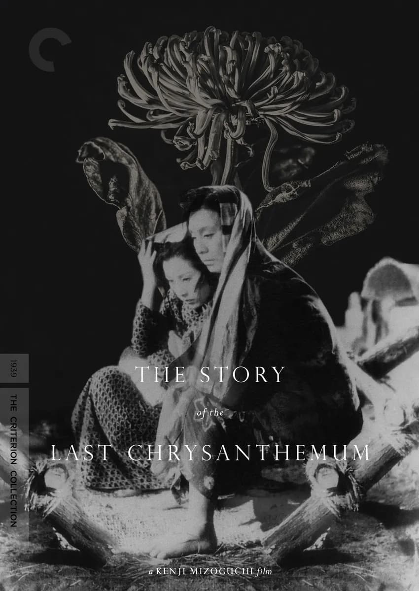 The Story of the Last Chrysanthemum cover