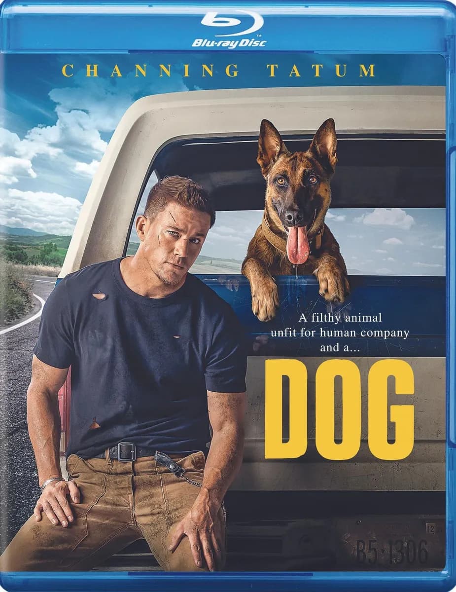 Dog cover