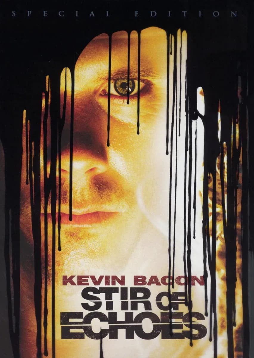 Stir of Echoes cover