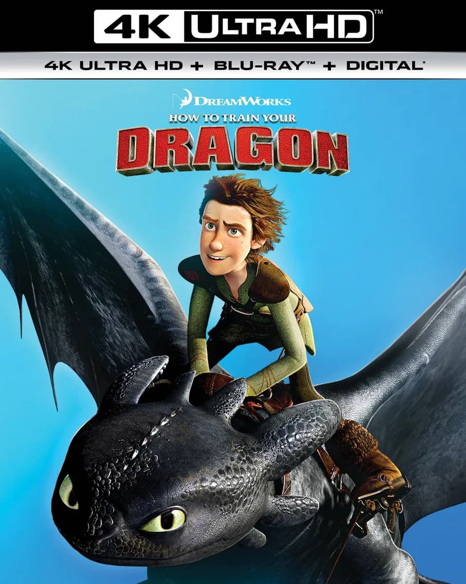 How to Train Your Dragon cover