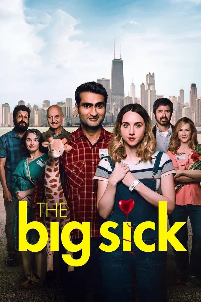 The Big Sick cover