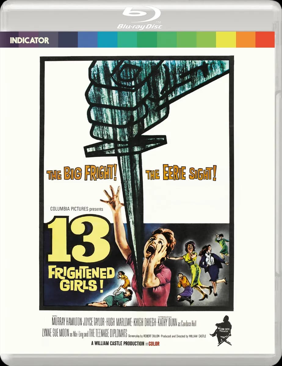 13 Frightened Girls cover