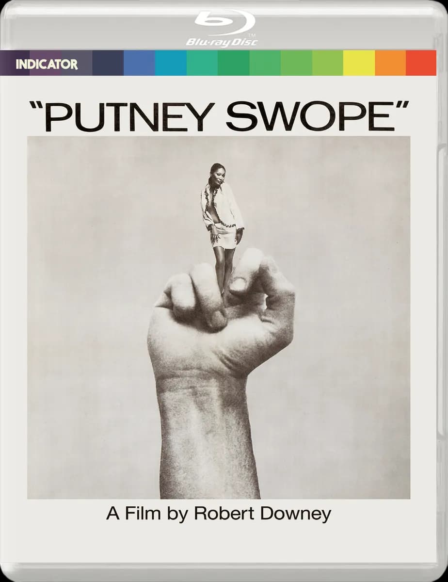 Putney Swope cover