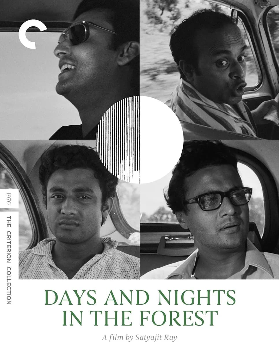 Days and Nights in the Forest cover