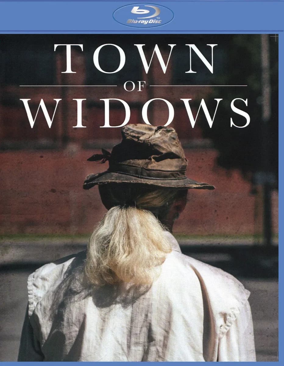 Town of Widows cover