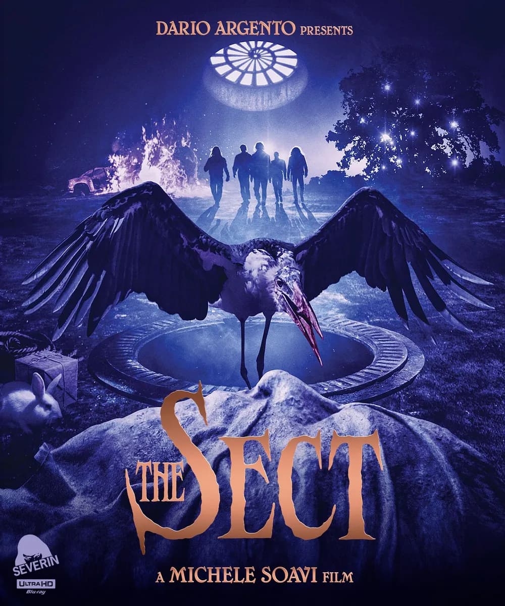 The Sect cover