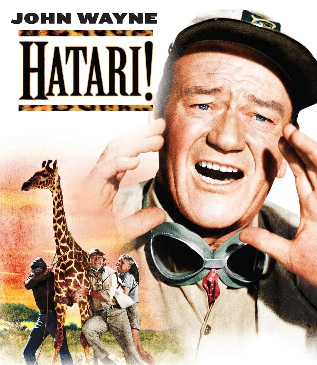 Hatari! cover