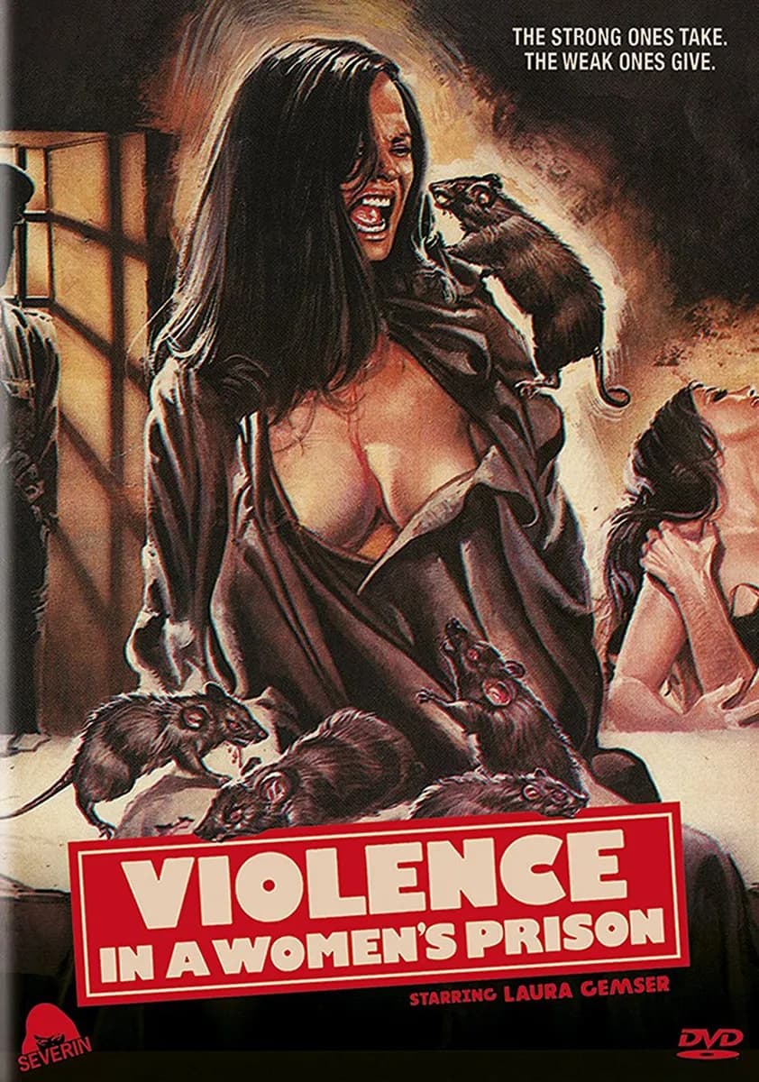 Violence in a Women's Prison cover