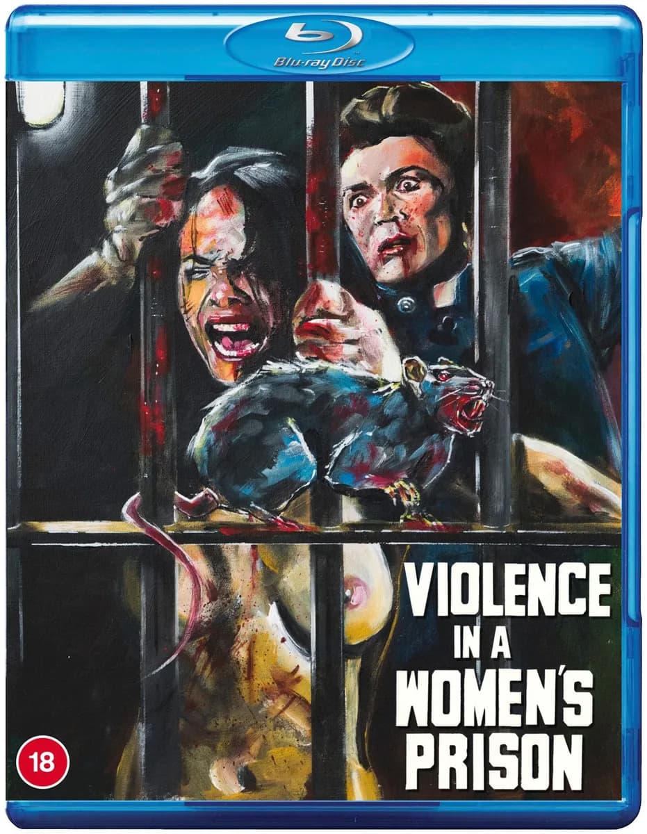 Violence in a Women's Prison cover