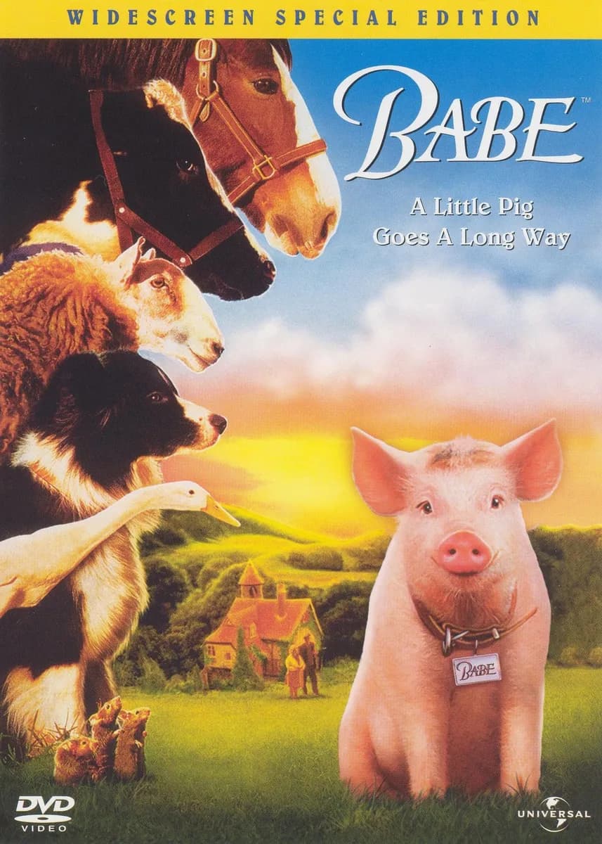 Babe cover