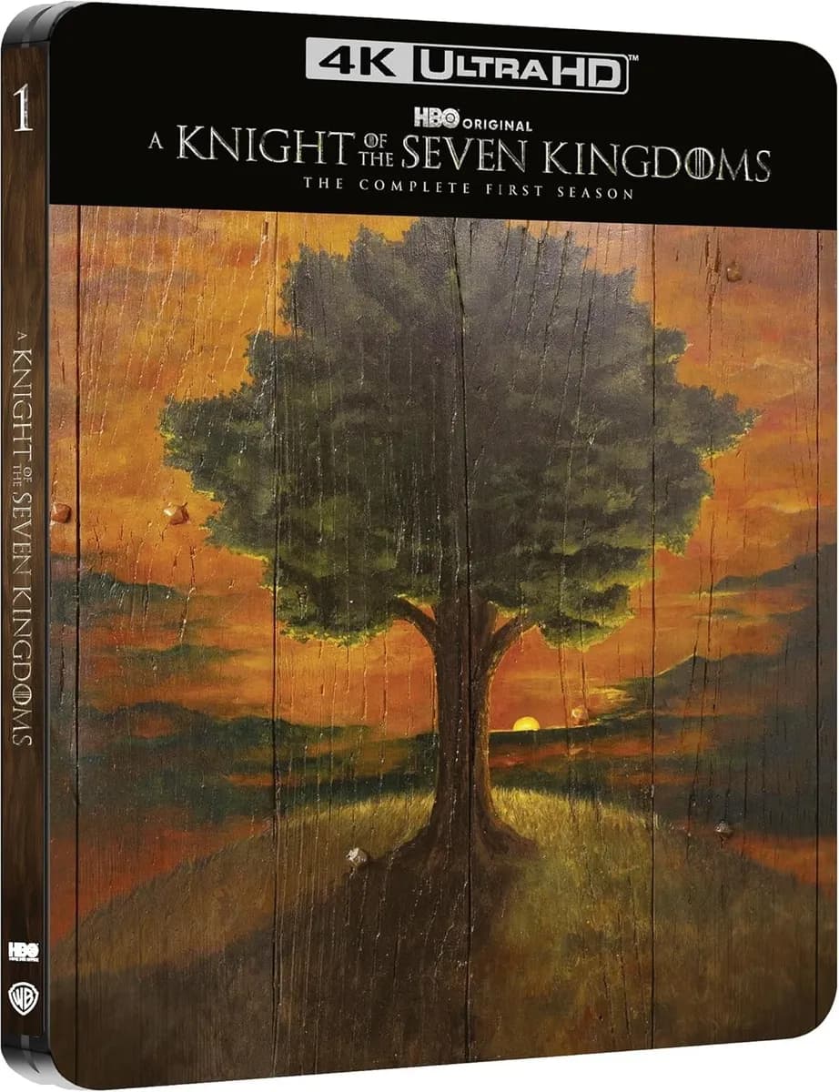 A Knight of the Seven Kingdoms cover