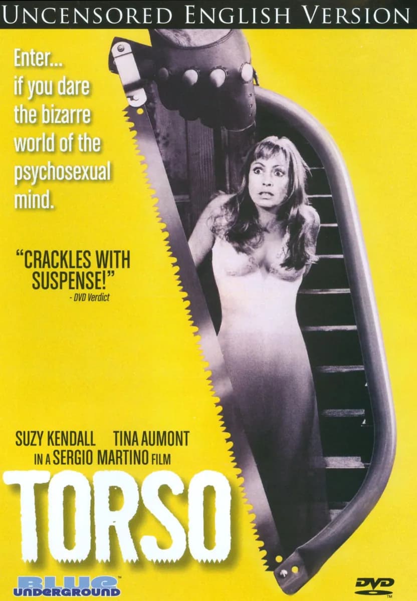 Torso cover