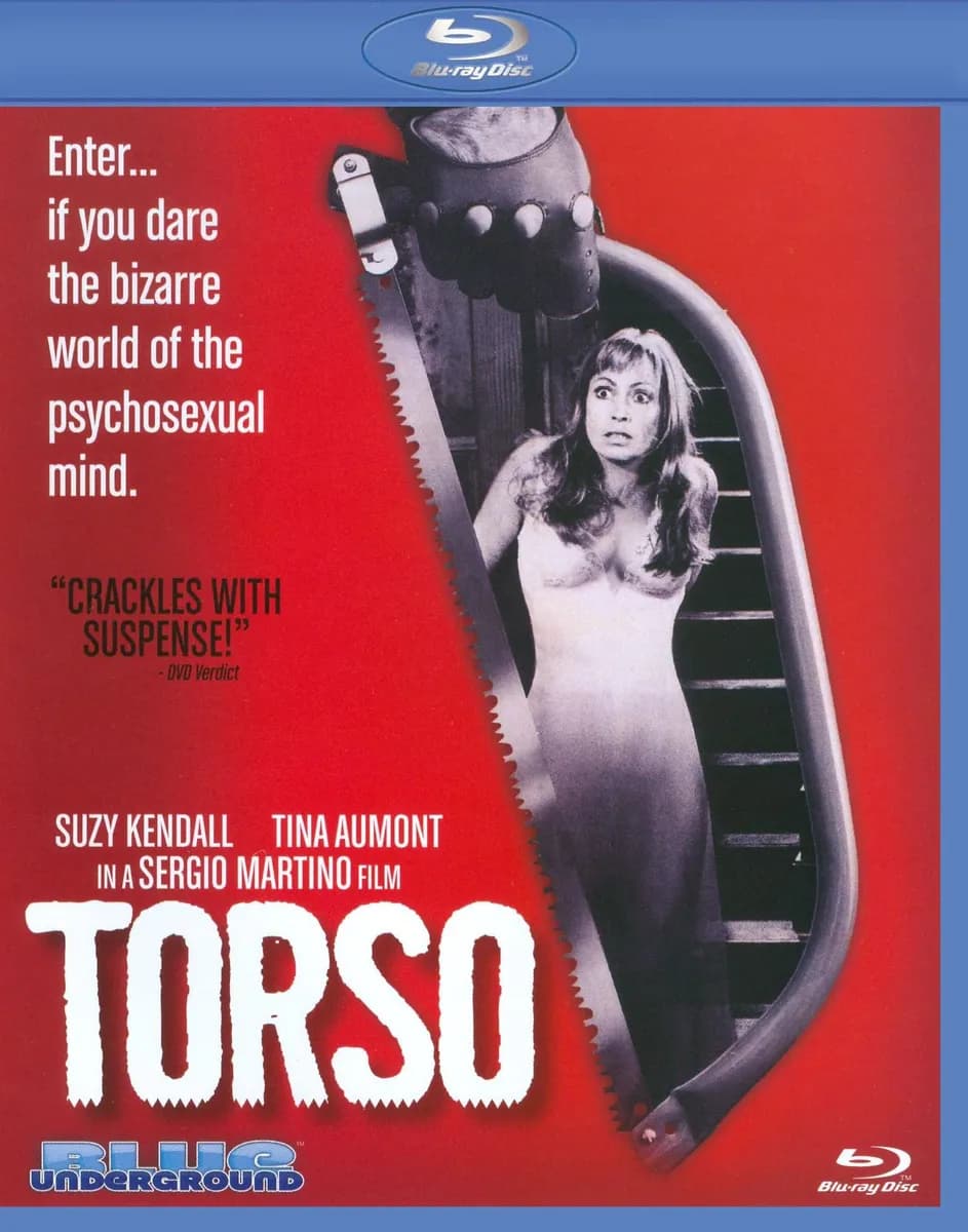Torso cover