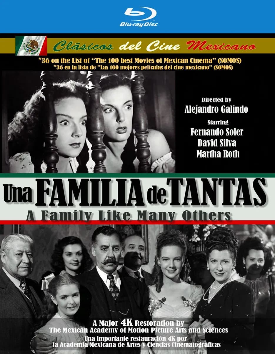 Una Familia de Tantas cover
