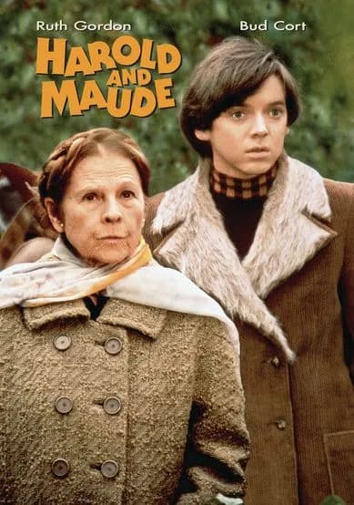 Harold and Maude cover