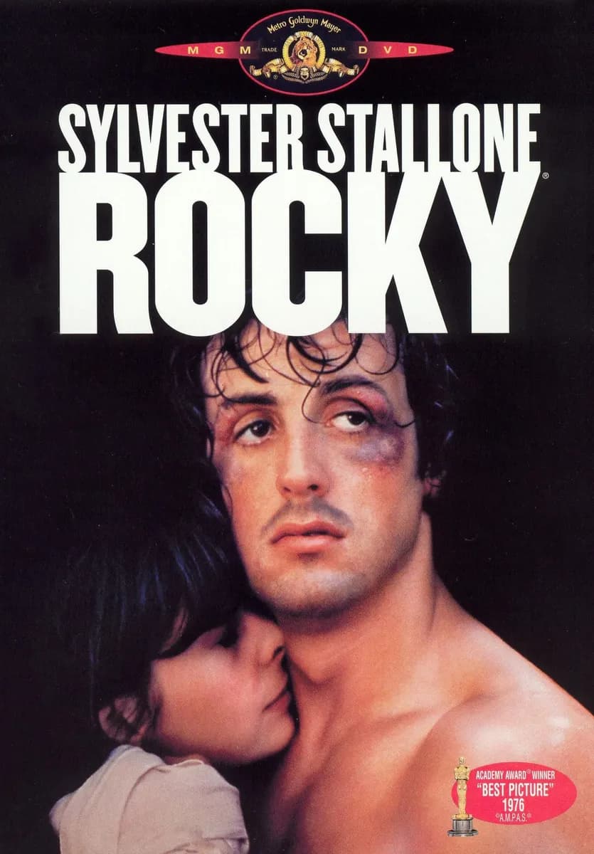 Rocky cover
