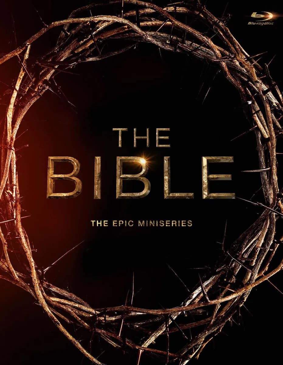 The Bible cover