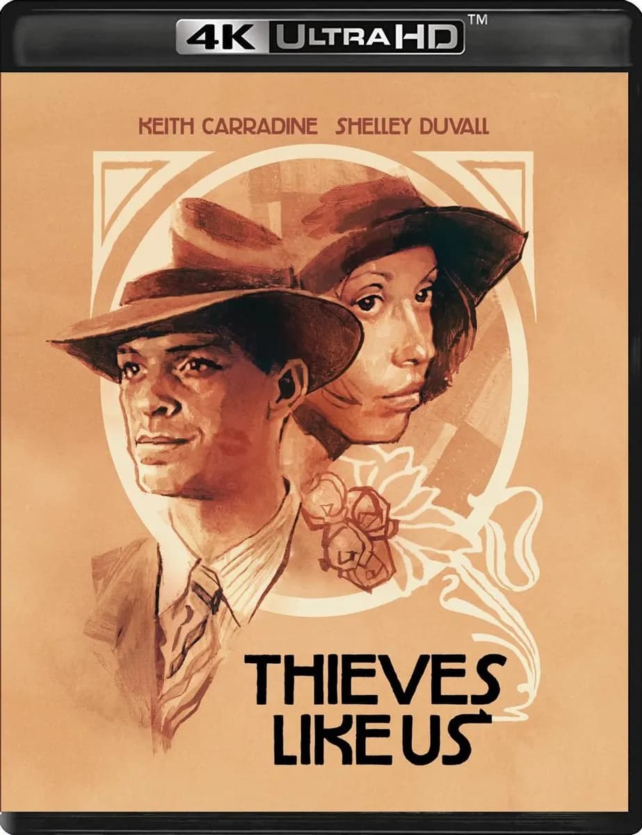 Thieves Like Us cover