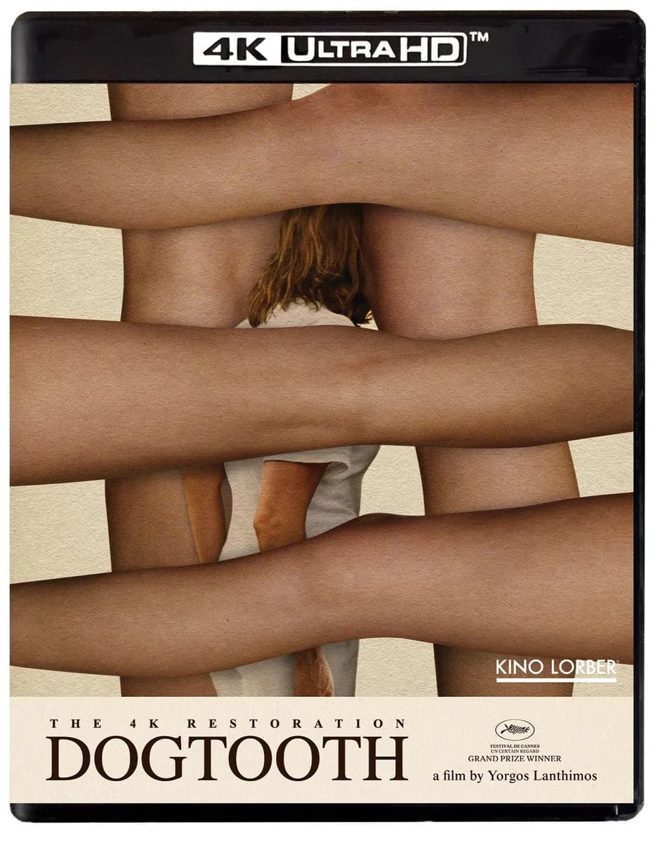 Dogtooth cover