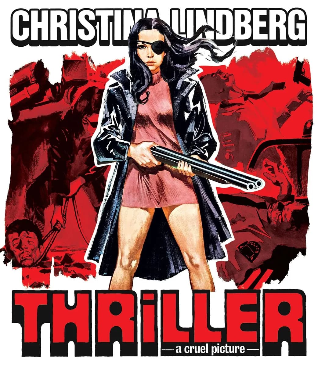 Thriller: A Cruel Picture cover