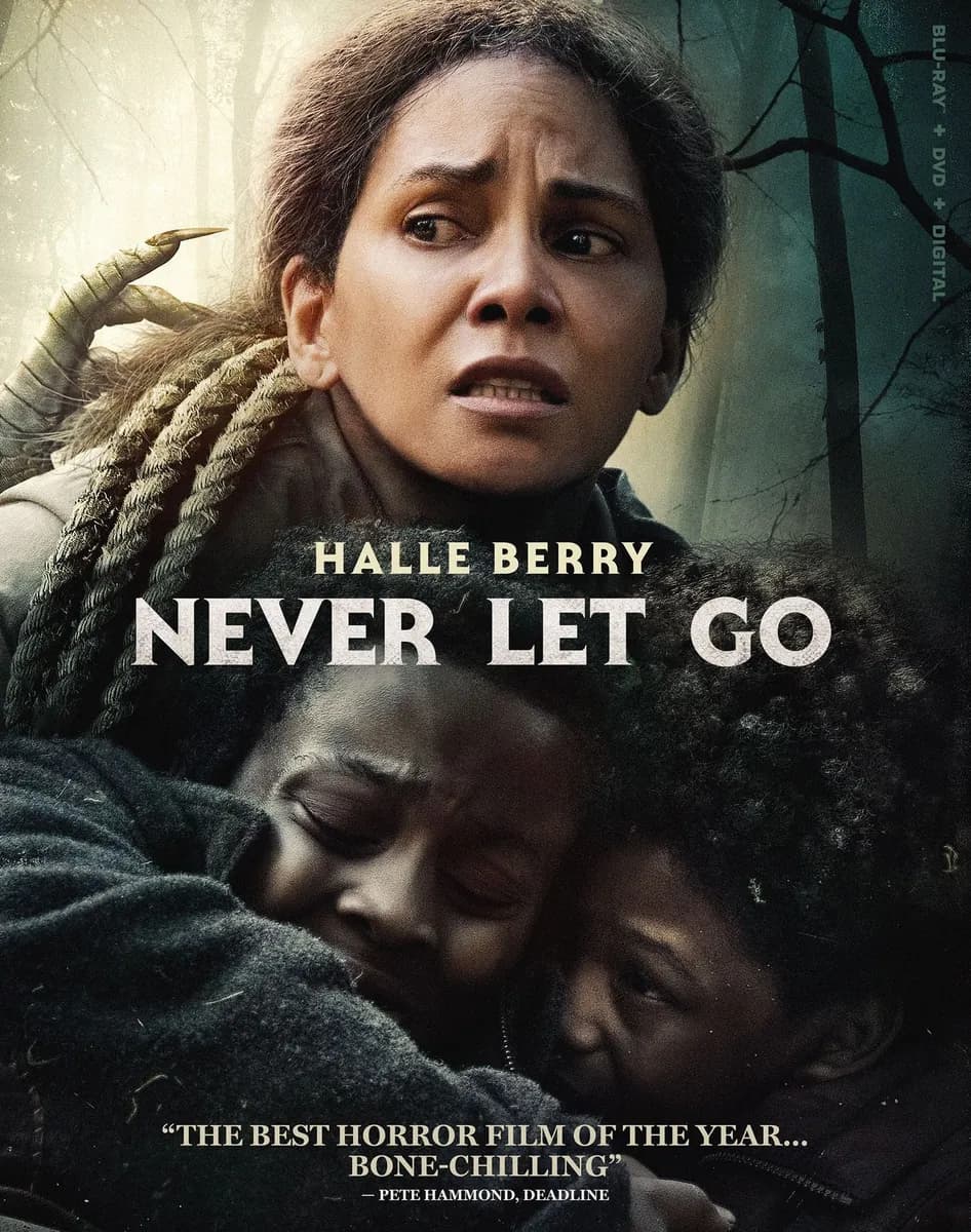 Never Let Go cover