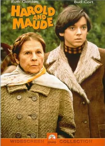 Harold and Maude cover