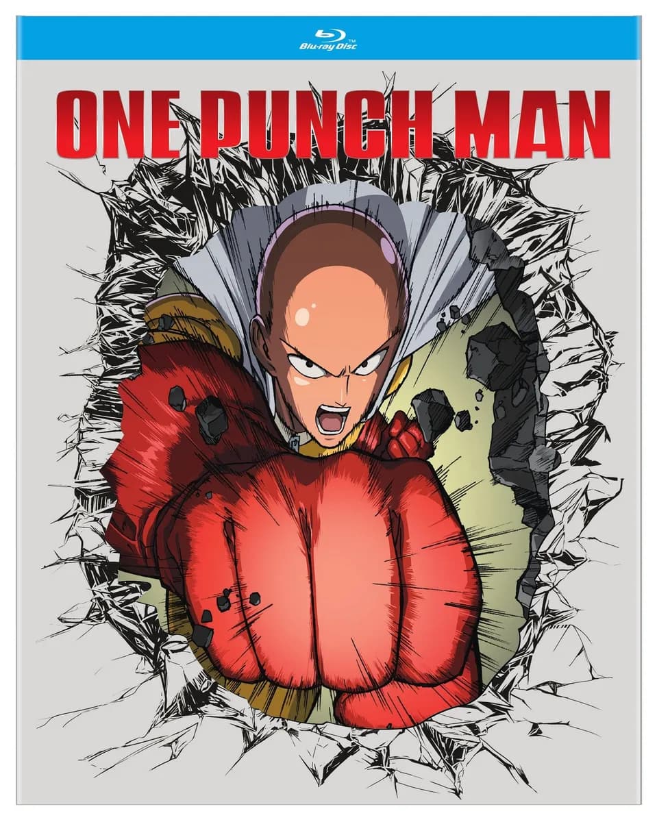 One Punch Man cover