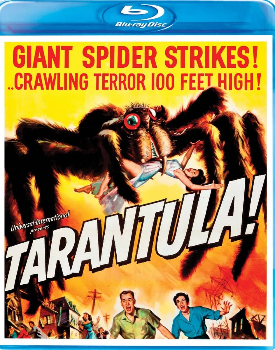Tarantula cover
