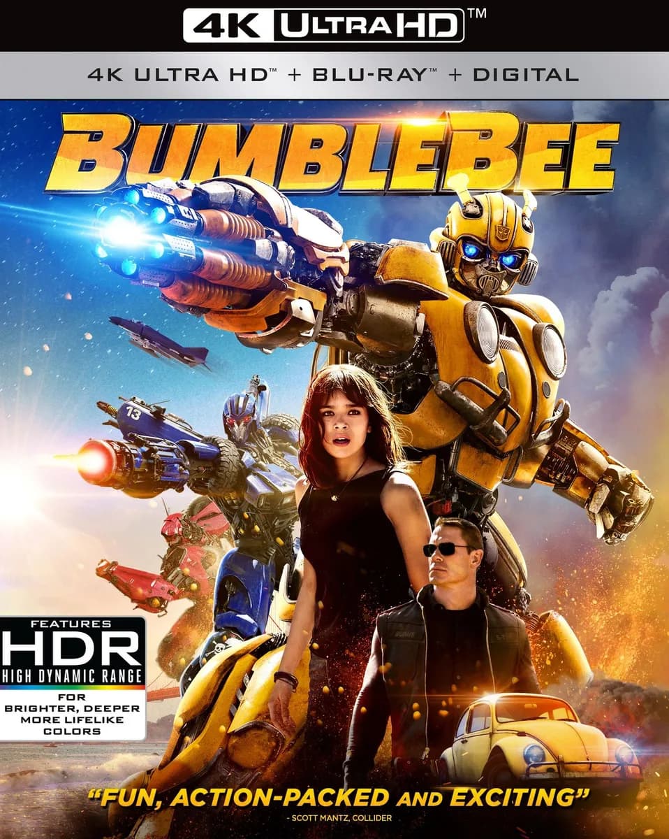 Bumblebee cover