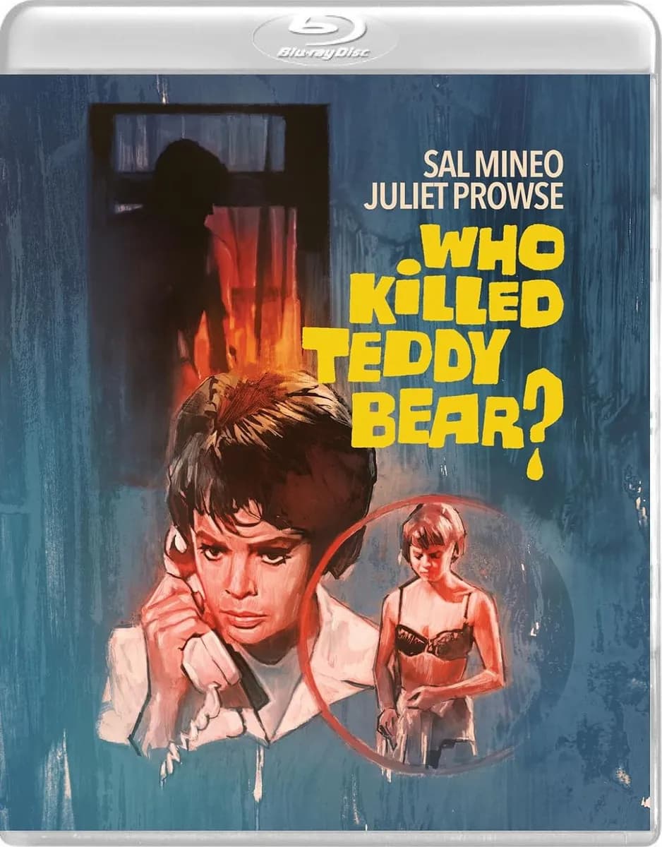 Who Killed Teddy Bear cover