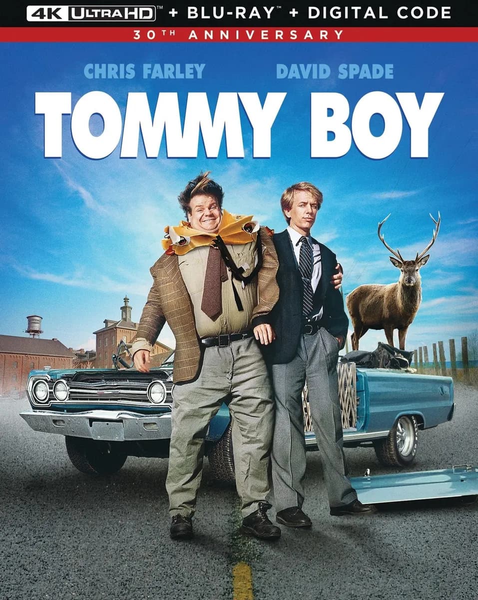 Tommy Boy cover