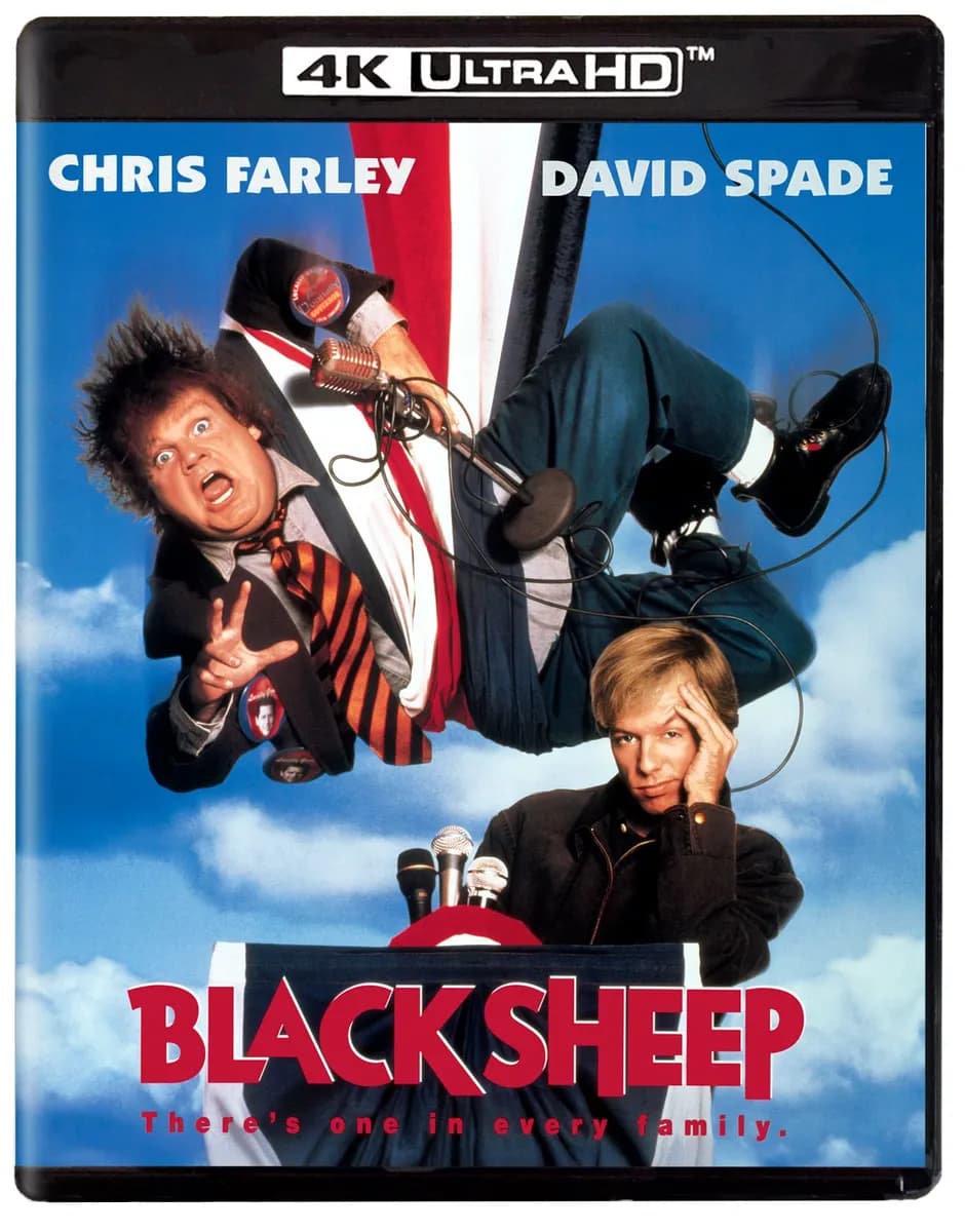 Black Sheep cover