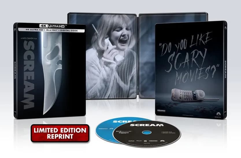 Scream cover