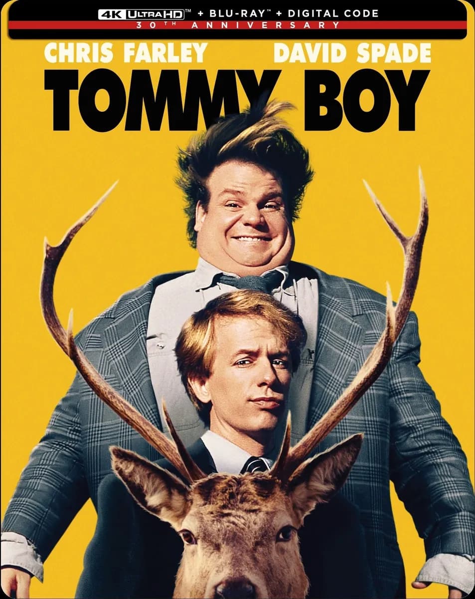 Tommy Boy cover