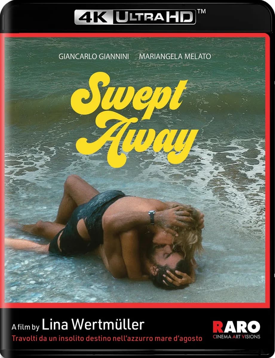 Swept Away cover