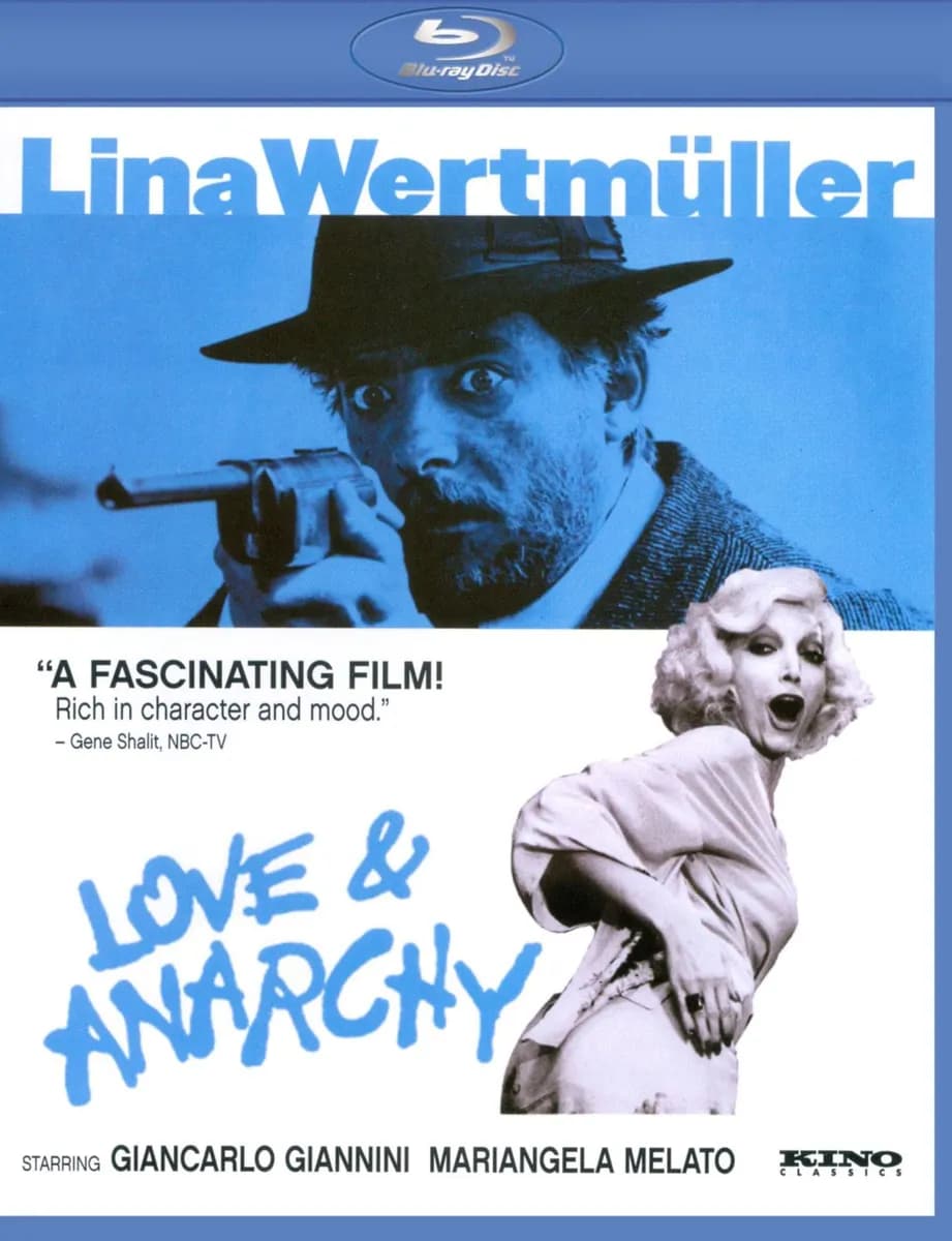 Love and Anarchy cover