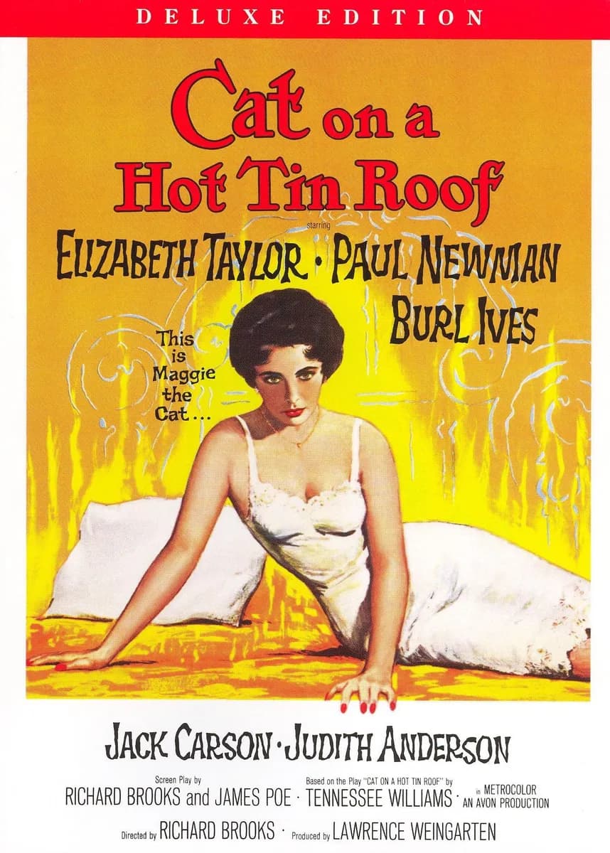 Cat on a Hot Tin Roof cover