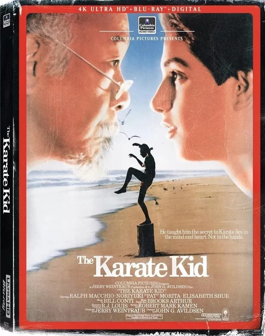 The Karate Kid cover