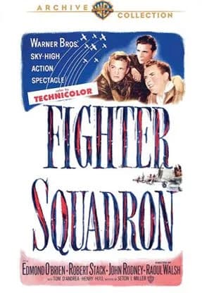 Fighter Squadron cover