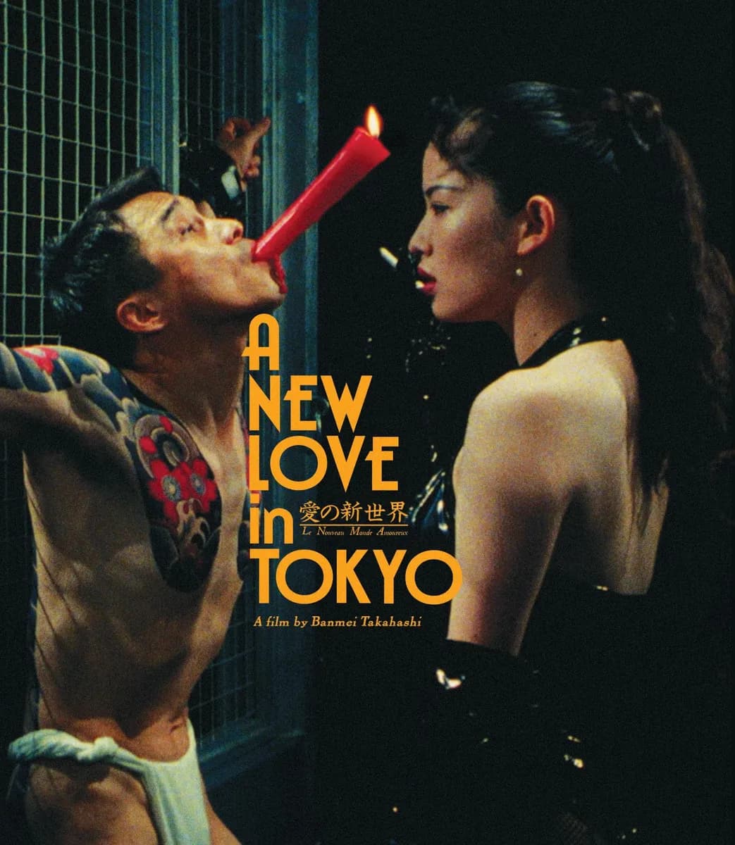 A New Love in Tokyo cover