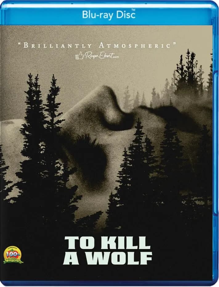 To Kill A Wolf cover