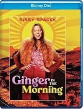 Ginger in the Morning cover