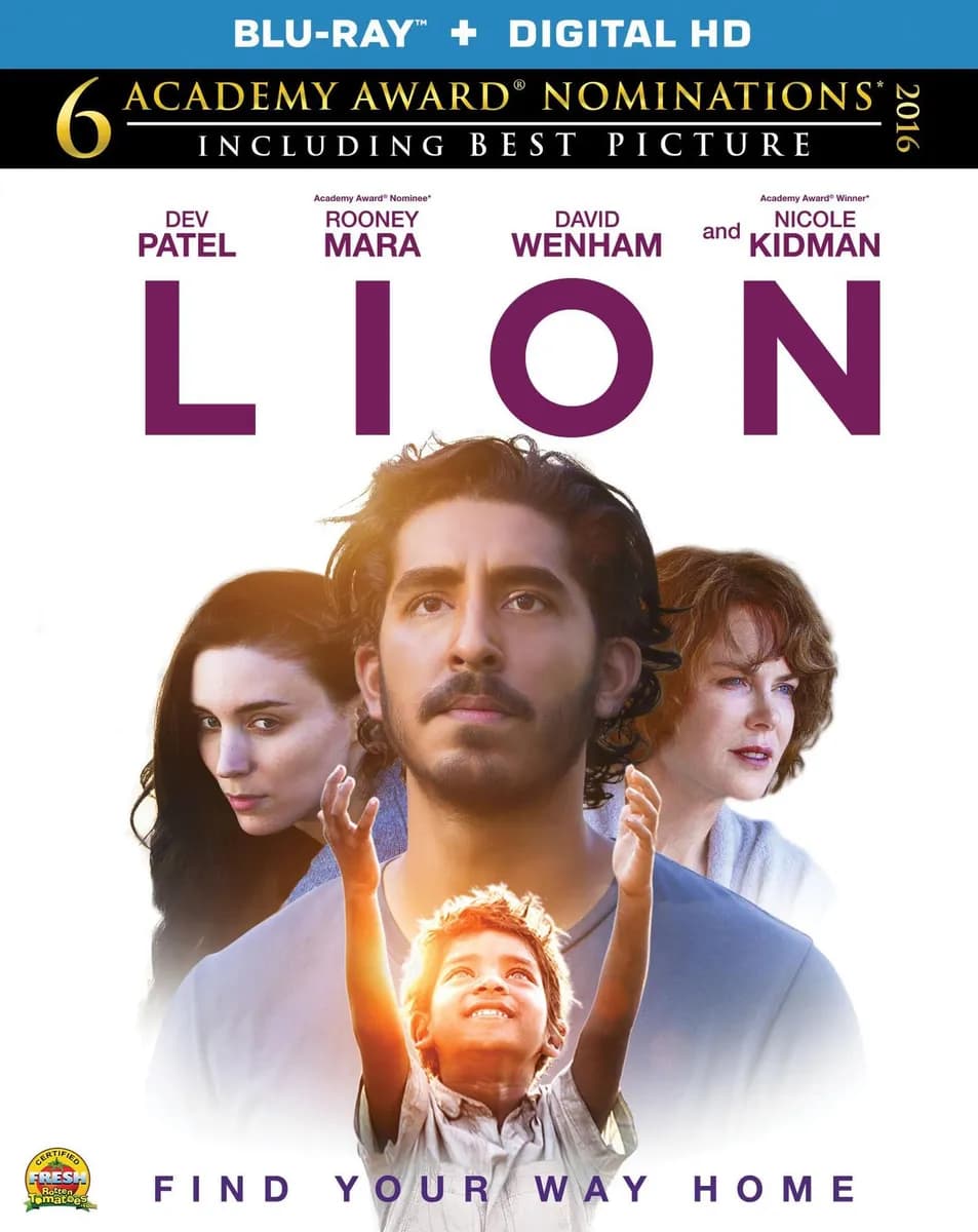 Lion cover