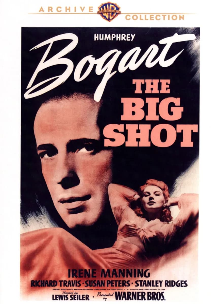 The Big Shot cover