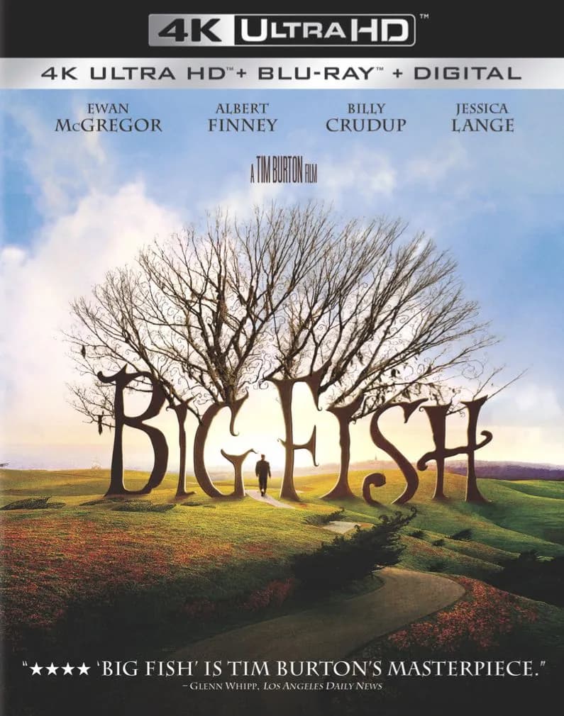 Big Fish cover