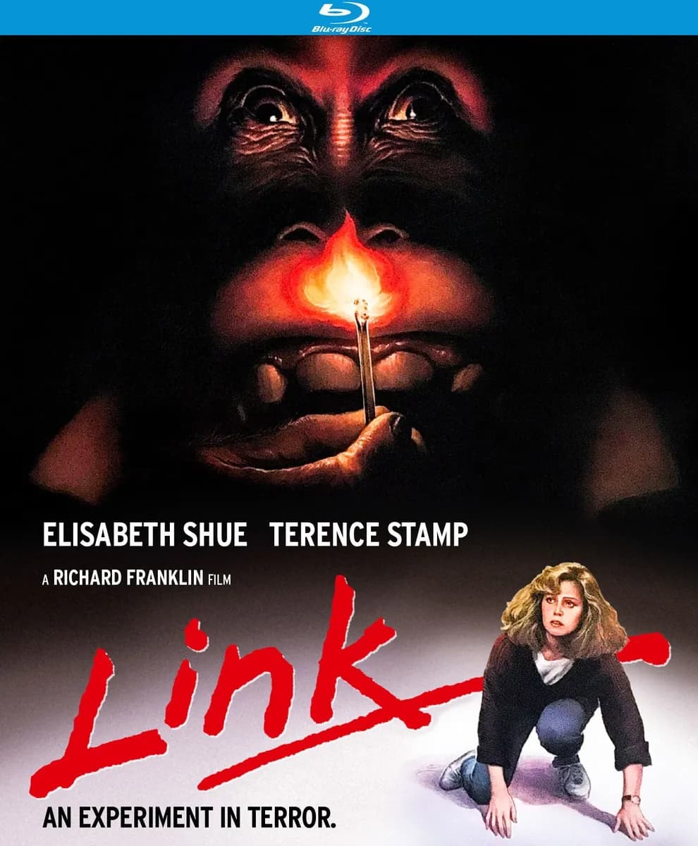 Link cover