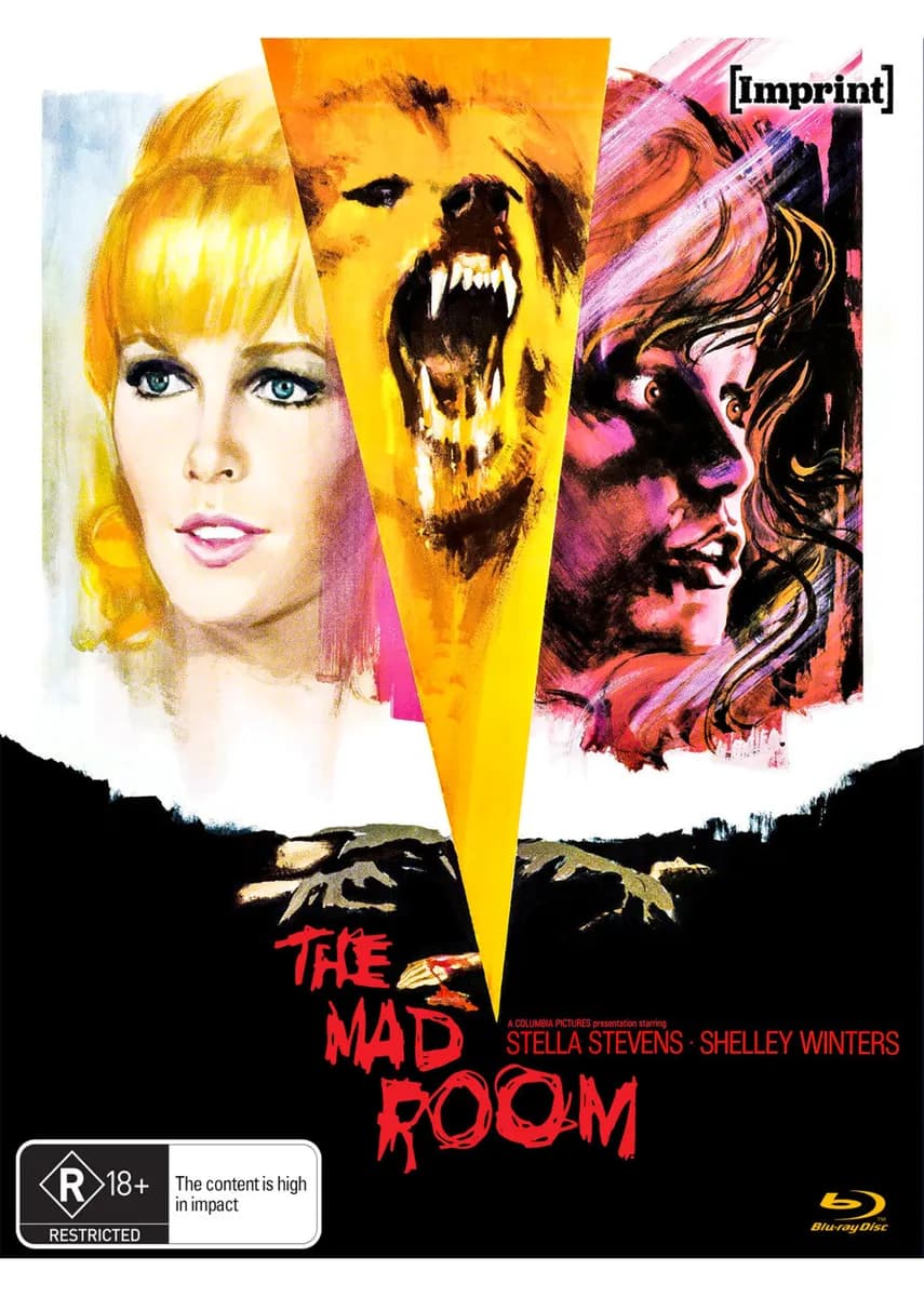 The Mad Room cover