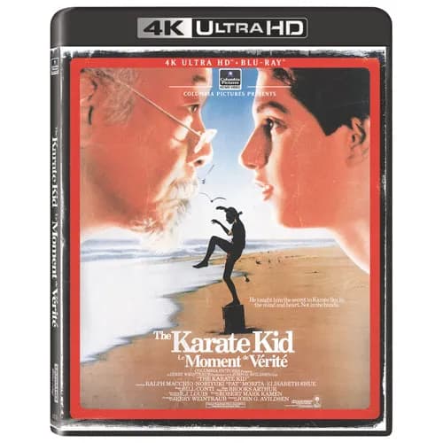 The Karate Kid cover